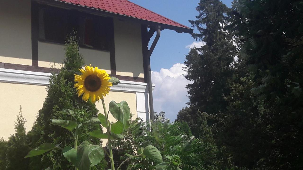Penzion Pod Orechom Turčianske Teplice Buitenkant foto